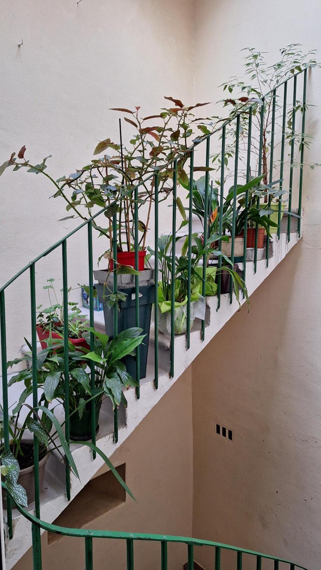 Vacance Et Cure Dans Duplex 80 M2 A Ceret 66400 Céret Exterior foto
